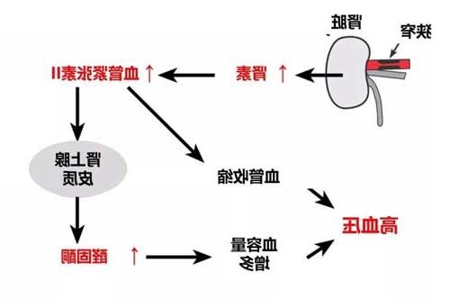 微信图片_20191025085428.jpg